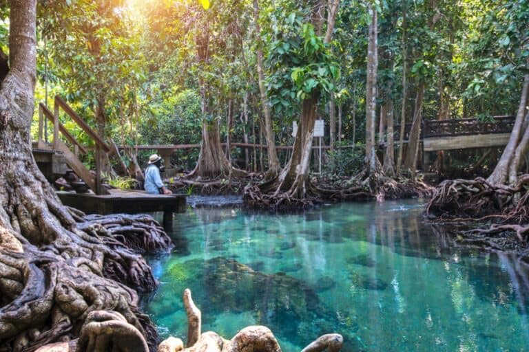 Krabi: cosa vedere e come arrivare